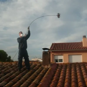 NETEJA XEMENEIES SEGI